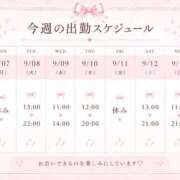 ヒメ日記 2026/09/08 00:02 投稿 せいら いざ候 別館