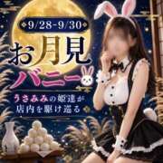 ヒメ日記 2026/09/25 23:12 投稿 せいら いざ候 別館