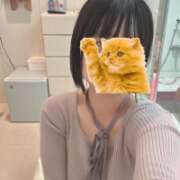 ヒメ日記 2025/05/08 19:18 投稿 ももか【モデル級スタイルの美女】 LIPS(リップス)