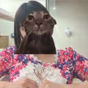 ヒメ日記 2025/05/28 19:10 投稿 ももか【モデル級スタイルの美女】 LIPS(リップス)