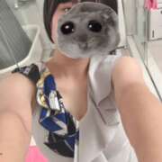 ヒメ日記 2025/07/06 22:06 投稿 ももか【モデル級スタイルの美女】 LIPS(リップス)