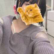 ヒメ日記 2025/07/19 00:23 投稿 ももか【モデル級スタイルの美女】 LIPS(リップス)