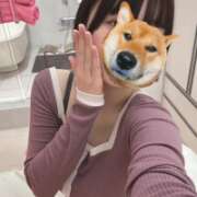 ヒメ日記 2025/11/21 23:51 投稿 ももか【モデル級スタイルの美女】 LIPS(リップス)