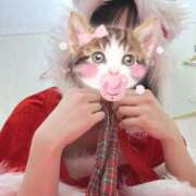 ヒメ日記 2025/12/26 00:33 投稿 ももか【モデル級スタイルの美女】 LIPS(リップス)