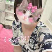 ヒメ日記 2026/02/06 19:28 投稿 ももか【モデル級スタイルの美女】 LIPS(リップス)