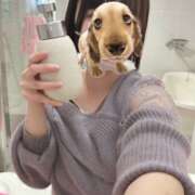 ヒメ日記 2026/02/28 19:26 投稿 ももか【モデル級スタイルの美女】 LIPS(リップス)