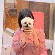 ヒメ日記 2026/07/03 00:30 投稿 ももか【モデル級スタイルの美女】 LIPS(リップス)