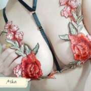 ヒメ日記 2025/01/31 22:47 投稿 あいか ホワイトベル