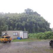 ヒメ日記 2025/08/12 18:05 投稿 ゆま 神田エマニエル