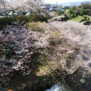 ヒメ日記 2025/04/03 17:36 投稿 ワカナ Aroma De Pari（アロマ・デ・パリ）