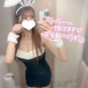 ヒメ日記 2025/03/21 09:30 投稿 一条 きらり ライオンズクラブ