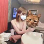 ヒメ日記 2025/02/06 23:44 投稿 うゆ【現役アイドルと恋人に】 STELLA TOKYO－ステラトウキョウ－