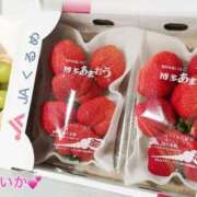 ヒメ日記 2025/02/10 01:47 投稿 れいか（ゴールドクラス−） 花の都～人妻の都～ 延岡店