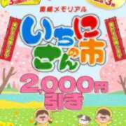 ヒメ日記 2025/04/03 19:26 投稿 つばさ 奥様メモリアル