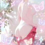 ヒメ日記 2026/03/24 14:48 投稿 つばさ 奥様メモリアル