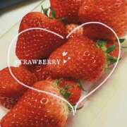 ヒメ日記 2026/03/30 08:33 投稿 つばさ 奥様メモリアル