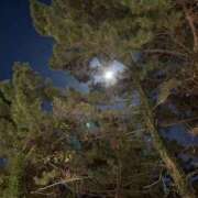 ヒメ日記 2025/10/06 20:42 投稿 えりな(Erina) 出張メンズエステ RELAX【DIVAグループ】