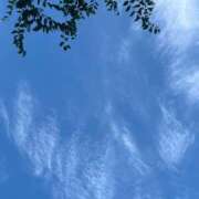 ヒメ日記 2025/09/02 22:19 投稿 マリ ドMなバニーちゃん大宮店