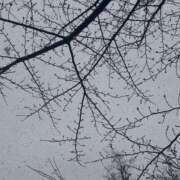 ヒメ日記 2026/03/11 00:00 投稿 マリ ドMなバニーちゃん大宮店