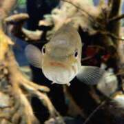 ヒメ日記 2025/02/26 20:26 投稿 くう カワサキEROTIC（ソープランド）