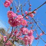 ヒメ日記 2025/03/03 23:13 投稿 くう カワサキEROTIC（ソープランド）