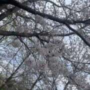 ヒメ日記 2025/04/11 10:14 投稿 くう カワサキEROTIC（ソープランド）