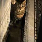 ヒメ日記 2025/05/14 02:16 投稿 くう カワサキEROTIC（ソープランド）