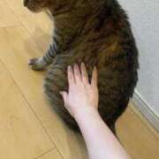 ヒメ日記 2025/07/17 18:18 投稿 くう カワサキEROTIC（ソープランド）