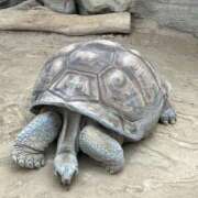 ヒメ日記 2025/08/26 21:15 投稿 くう カワサキEROTIC（ソープランド）