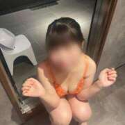 ヒメ日記 2025/12/16 15:30 投稿 こなつ The White