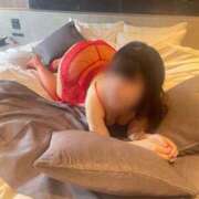 ヒメ日記 2026/01/06 20:45 投稿 こなつ The White