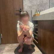 ヒメ日記 2026/01/08 11:01 投稿 こなつ The White