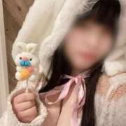 ヒメ日記 2026/02/09 12:05 投稿 こなつ The White