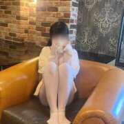 ヒメ日記 2026/02/09 16:30 投稿 こなつ The White