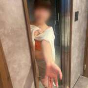 ヒメ日記 2026/02/25 05:15 投稿 こなつ The White