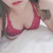 ヒメ日記 2025/01/08 01:28 投稿 むぎ 奥様なでしこ