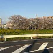 ヒメ日記 2025/04/07 20:51 投稿 七美さえか【OL委員会】 柏OL委員会