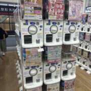 ヒメ日記 2025/05/29 12:10 投稿 七美さえか【OL委員会】 柏OL委員会