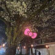 ヒメ日記 2026/03/24 21:01 投稿 七美さえか【OL委員会】 柏OL委員会