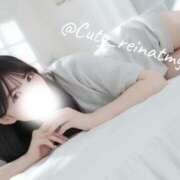 ヒメ日記 2026/02/24 12:48 投稿 れいな キューティーハニー