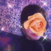 宮沢かなめ 15 美魔女エステ