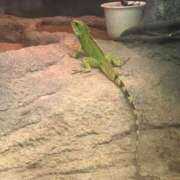 ヒメ日記 2025/05/06 21:25 投稿 りの♪ プリティーガール