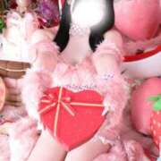 ヒメ日記 2026/04/02 10:15 投稿 りの♪ プリティーガール