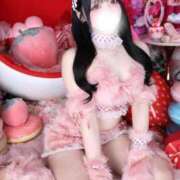 りの♪ 今日こそいる🐈 プリティーガール