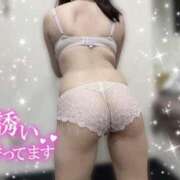 ヒメ日記 2025/01/29 03:24 投稿 かのん チューリップ福井本館