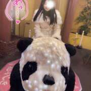 ヒメ日記 2025/02/05 22:23 投稿 かのん チューリップ福井本館