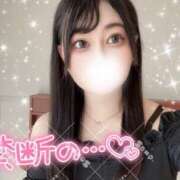 ヒメ日記 2025/02/06 12:44 投稿 かのん チューリップ福井本館