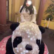 ヒメ日記 2025/03/22 21:21 投稿 かのん チューリップ福井本館