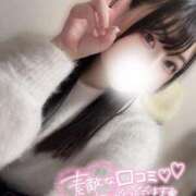 ヒメ日記 2025/04/11 20:34 投稿 かのん チューリップ福井本館