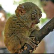 ヒメ日記 2025/05/23 15:20 投稿 かのん チューリップ福井本館